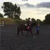Abbieproctor18 - @abbieproctor18 - TikTok