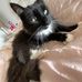 Abbie Rayner - Facebook