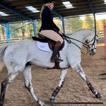 Abbie Rayner - @fairview_stables_eventing_ - Instagram