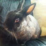abbie saunders - @abbiesaundets - Instagram