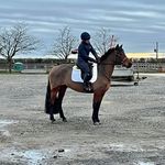 Abbie Saunders - @abbie_saunders040401 - Instagram