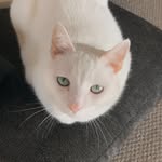 Abbie Sparkle Shine - @skinnyandchunks - Instagram