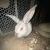 abbie.stevens08 - @abbie.stevens08 - TikTok