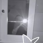 Abbie Stevenson - @abbie.stx - Instagram