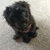 Abbie Stevenson - Facebook