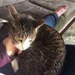Abbie Stuart - Facebook