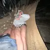 abby stuart - @shabby.labby - TikTok