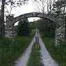 Abbie Walters - @barefootabbie - TikTok
