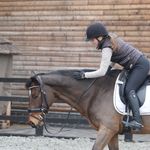 ABBIE WRIGHT - @abbiewrightdressage - Instagram
