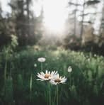 Abigail Moore - Facebook