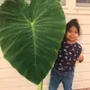 abeni.barnhart_ - @abby.barnhart_ - TikTok