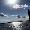 Abby Bauer - @abby_bauer - TikTok