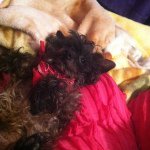 Abby Baxter - @cupcake_241034 - Instagram