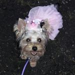 Abby Baxter🐶 - @abbybaxter_25 - Instagram