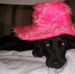 Abby Bays - Facebook