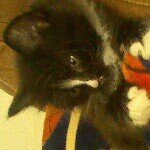 abby bearden - @anonymous_abbles_ - Instagram