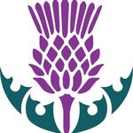 Abby Bearman Chandanais - @thistledonicelydesigns - Instagram