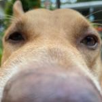 a b b y | b e a s l e y - @abby_bignose_beasley - Instagram