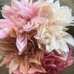 Abby Beasley - @abbybeasley_closet - Instagram