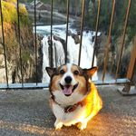 Abby Beasley - @ladyflabbigail - Instagram