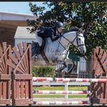 Abby Becnel - @abbyb410.equestrian - Instagram