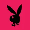 abby - @abbybeitler - TikTok