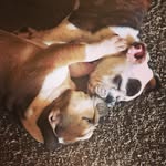 Abby Belvin - @abby.and.emily.b - Instagram
