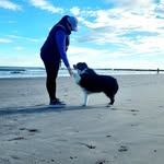Abby Benner - @abenner4750 - Instagram