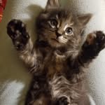 Abby Benner - @bennerabby - Instagram