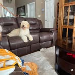Abbey Bentley - Facebook