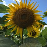 Abby Bentley - @art_in_a_photo123 - Instagram