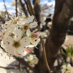 Abby Bentley - @a.a.b._photography - Instagram