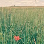 Abbie Bergquist - @701images - Instagram