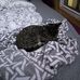 Abby Bernash - Facebook