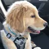 abby - @abbylbernhardt - TikTok
