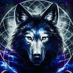 Abby Bernhardt - @abbyalpha54 - Instagram