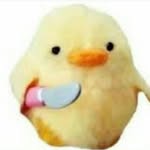 Abby 🐥 - @abbybessyottis - Instagram