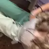 Abby - @notabby_bettesh - TikTok