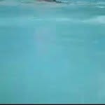 Abby Birkett - @abbygracebirkett - Instagram