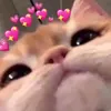 ✪✰𖤐♥︎❢abby❢♥︎𖤐✰✪ - @abbybjork - TikTok