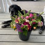 Abby | Black Dog Blooms - @black.dog.blooms - Instagram