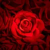 Abby Blanchette - @rosegirl_303 - TikTok