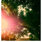 Abbie Merrill Nickelle Blanton - @na_photography1 - Instagram