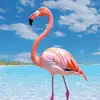abbyblaylock13 - @abbyblaylock13 - TikTok