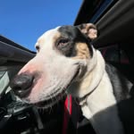Abby and Blaze - @abbyn.blaze - Instagram