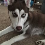 Abby_Blazer - @abby_blazer - Instagram