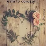 364271 - @abbybloch2017 - Instagram