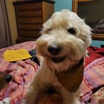 Abby Blum - Facebook