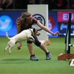 Abby - @abby_blythe - Instagram