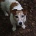 Abby Blythe photography - Facebook